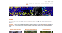 Desktop Screenshot of kickingbirdgundogs.com